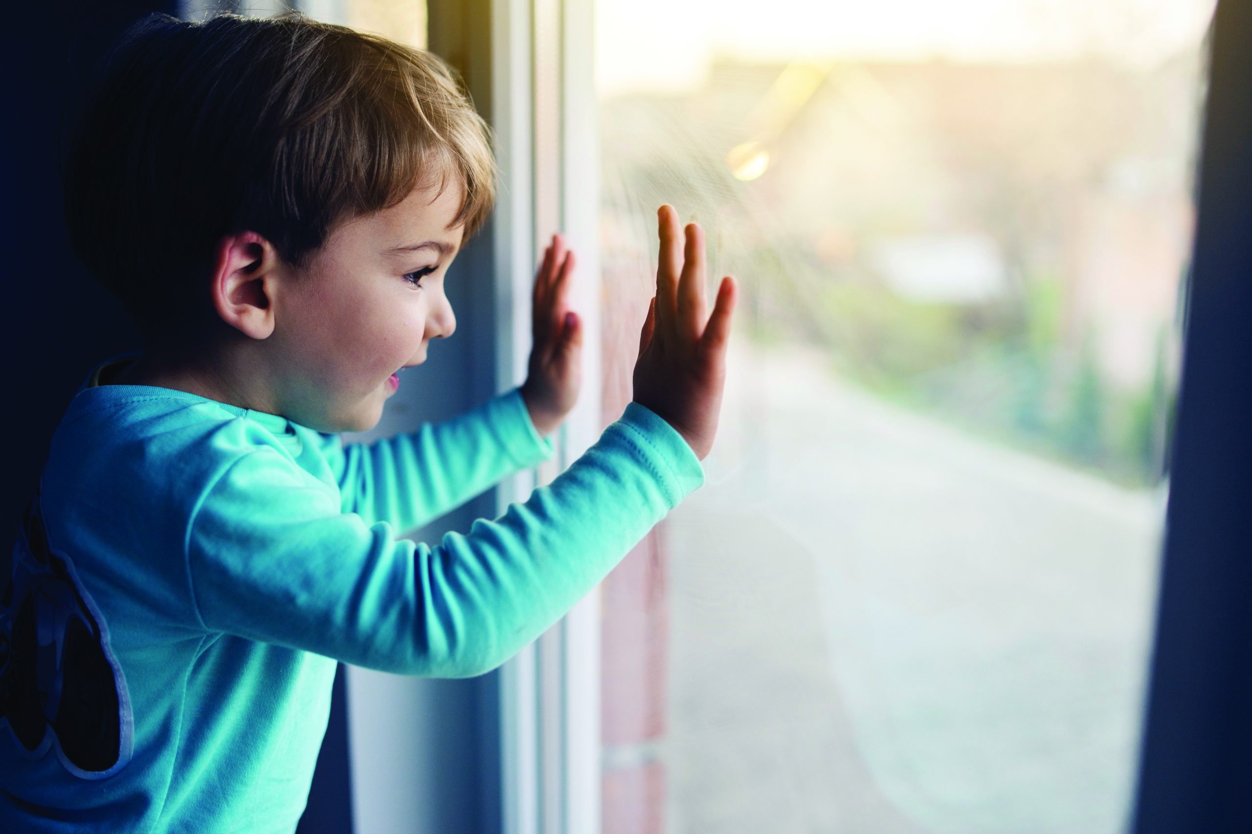 Restricted Hinges_Endurance Aluminium Windows